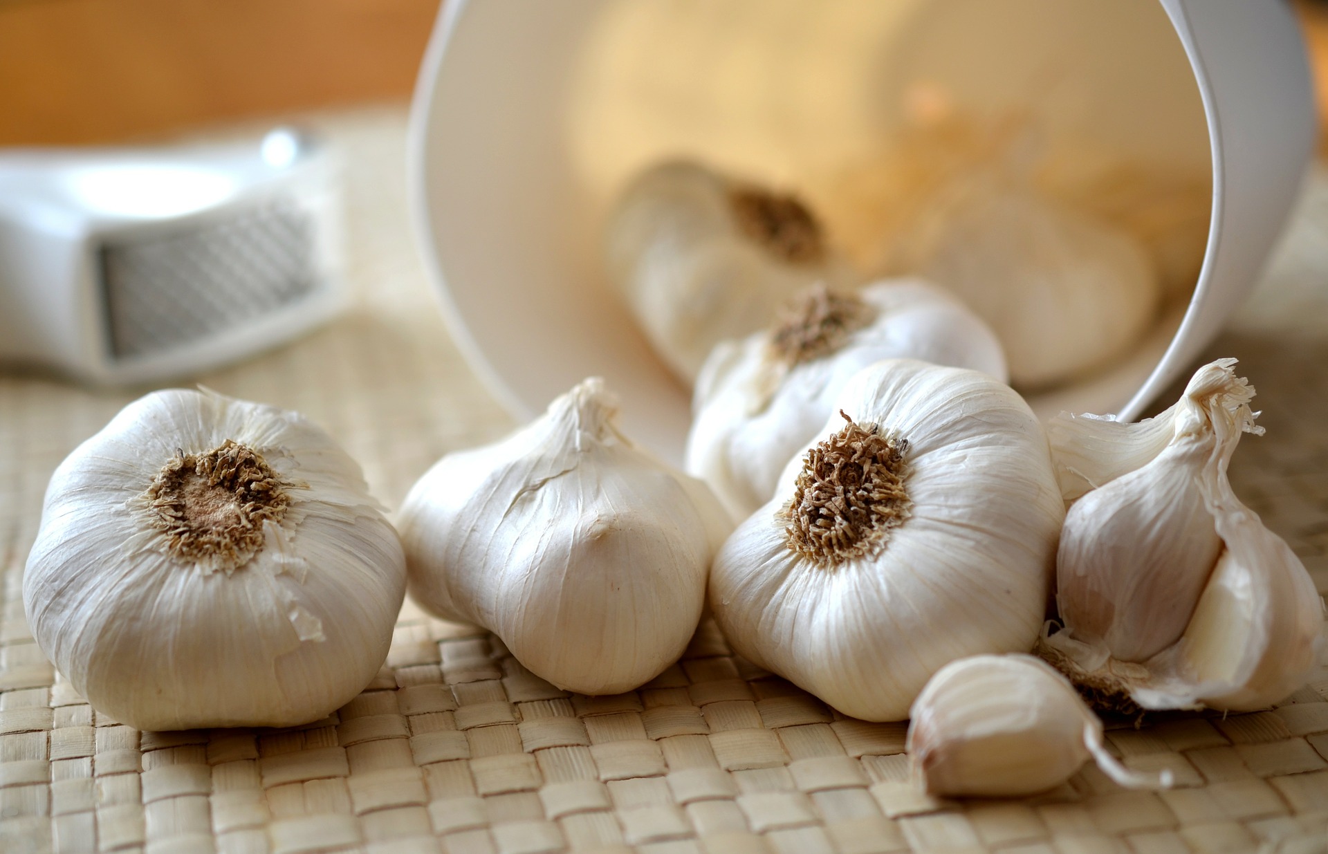 Garlic blog header image