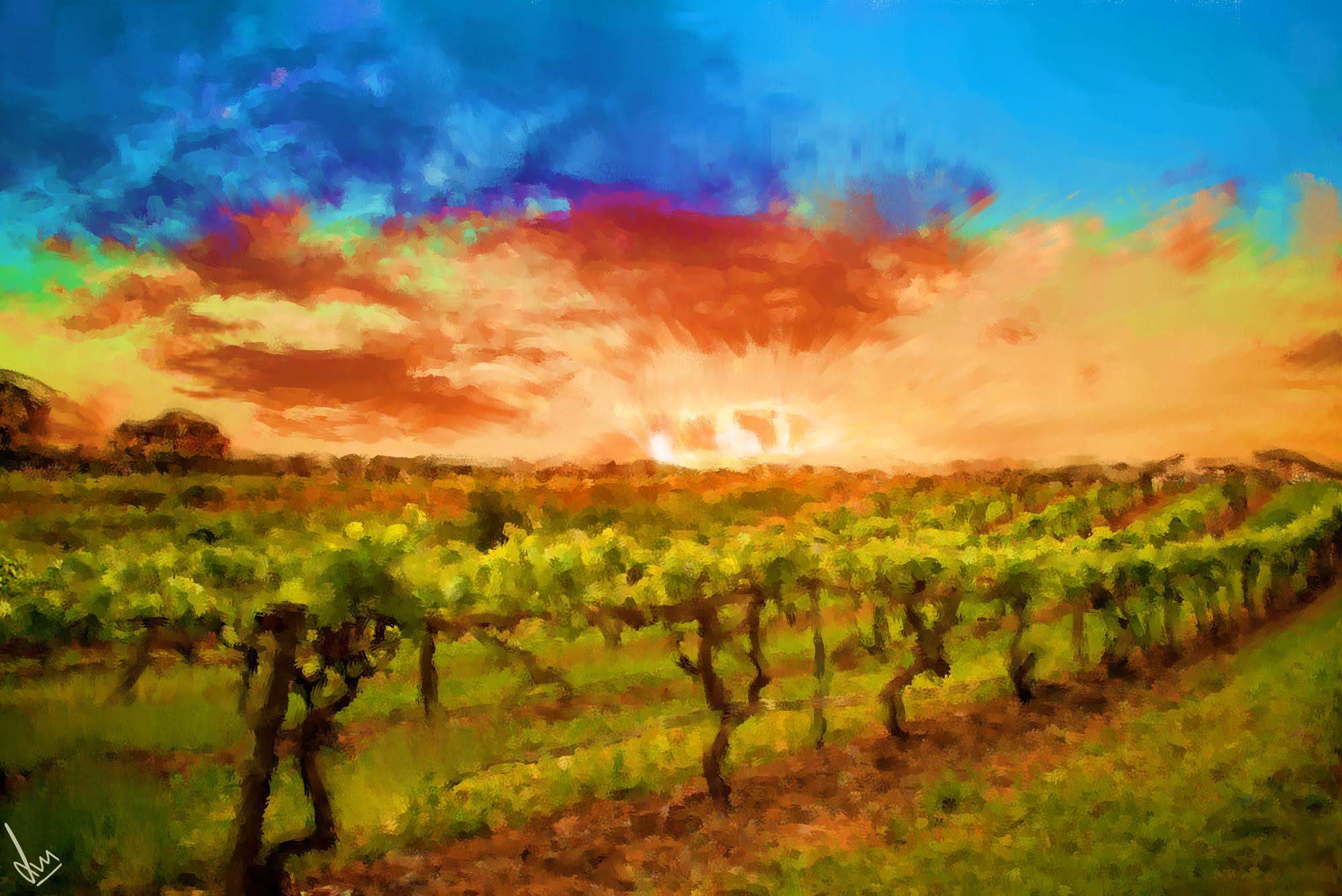 Vineyards of Barossa Valley, South Australia - Digital Painting by Shaalyn Monteiro