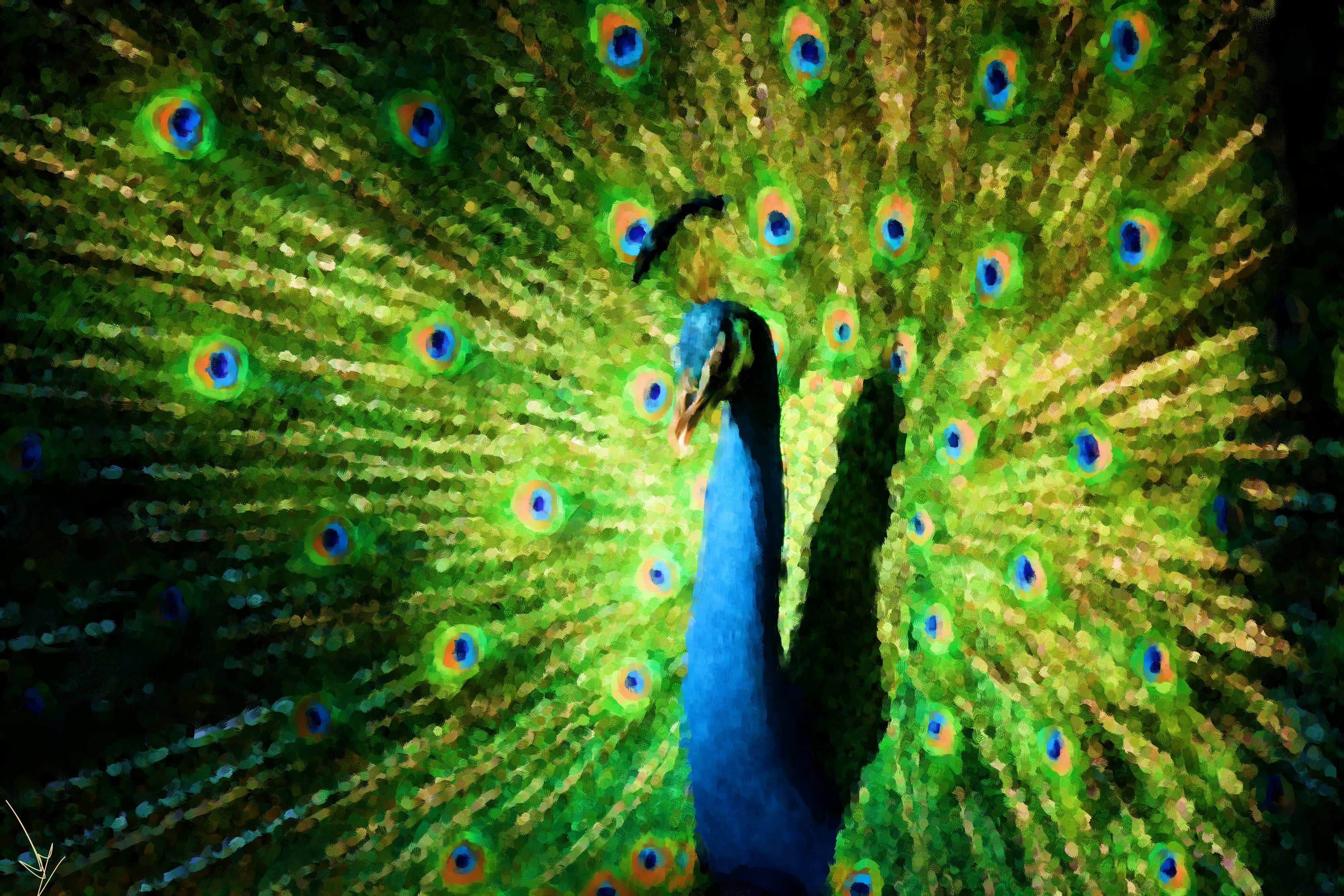 Peacock - Digitial Painting by Shaalyn Monteiro