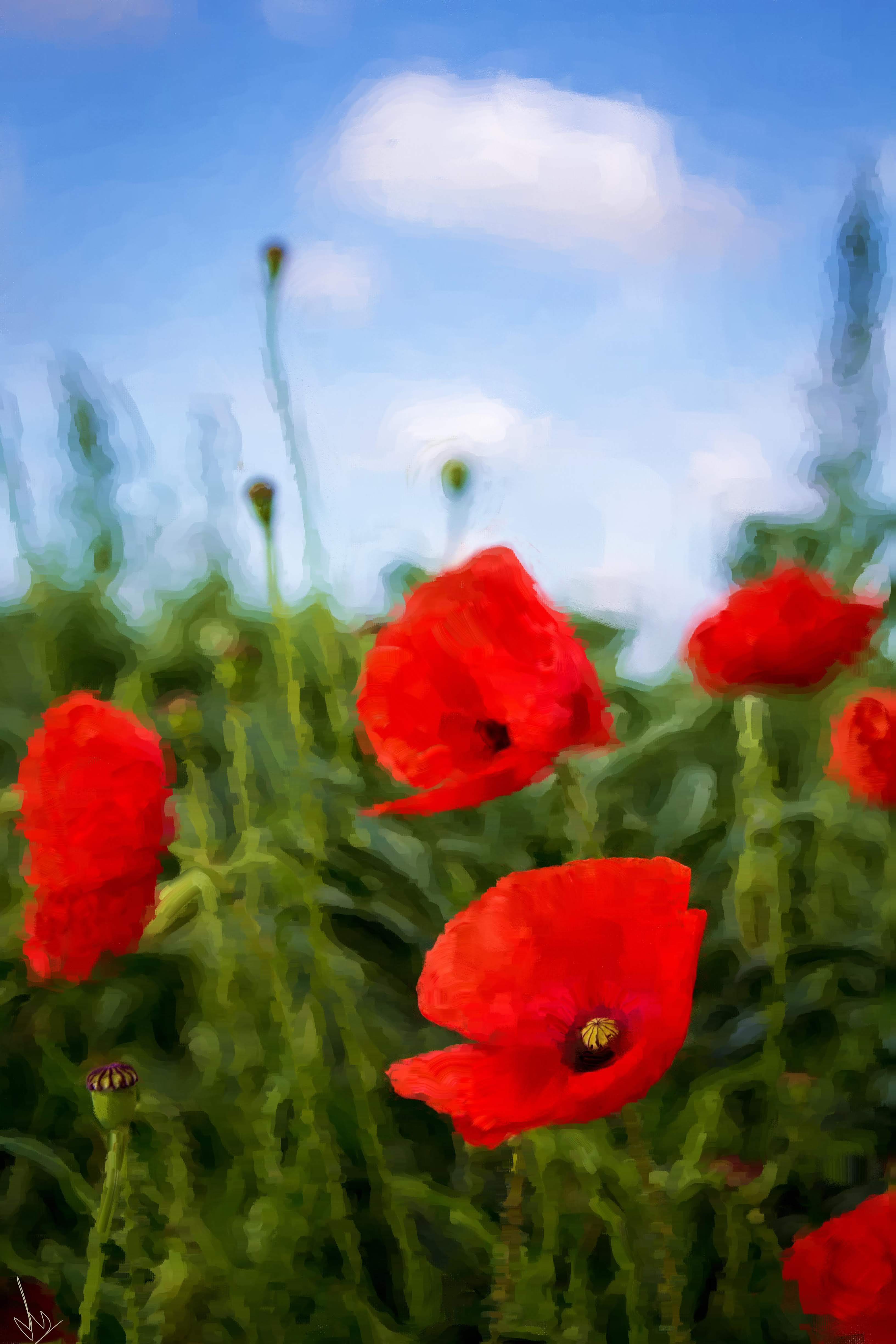Poppy Fields - A digital painting in remembrance of those who laid their lives in the great war